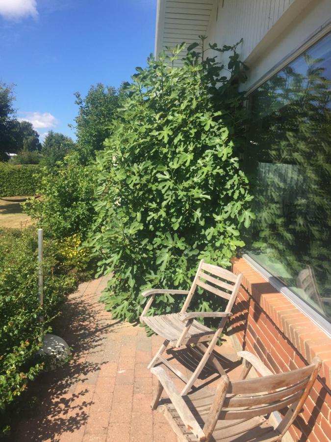 Vaerelse Med Udsigt Over Limfjorden - Rolige Omgivelser Og Adgang Til Flot Have Nykobing Mors Esterno foto